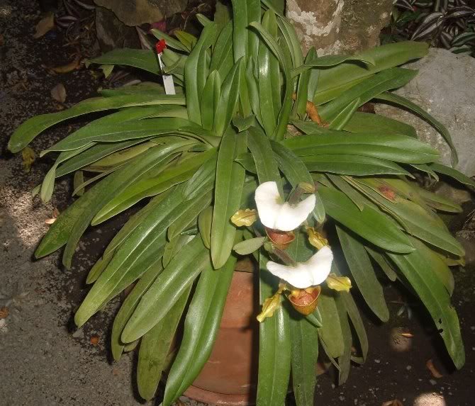 DSCF3570.jpg