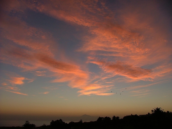 DSCF3573.JPG