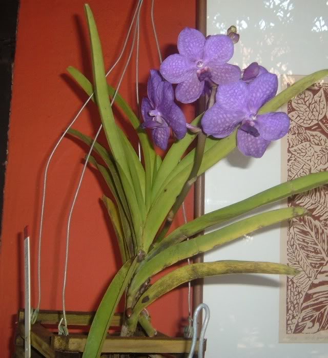 DSCF3578.jpg
