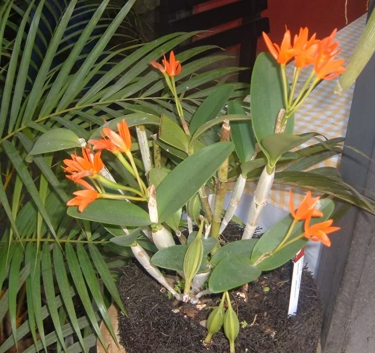 DSCF3579.jpg