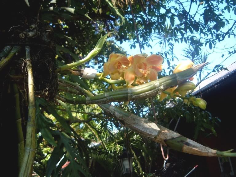 DSCF3584.jpg