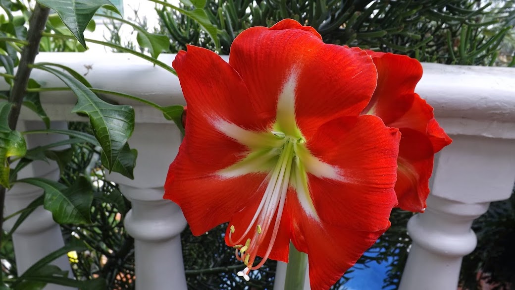 DSCF3586.JPG