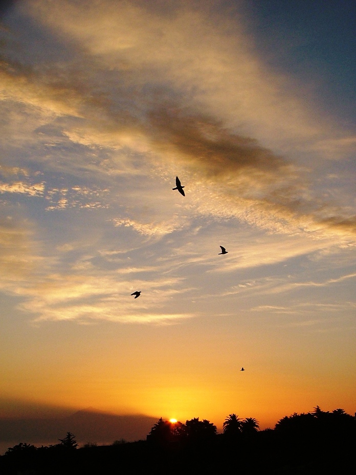 DSCF3592.JPG
