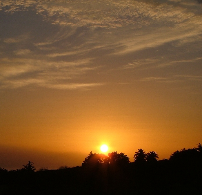 DSCF3603.JPG