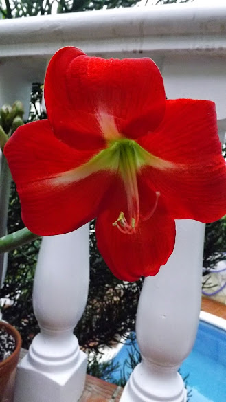 DSCF3611.JPG
