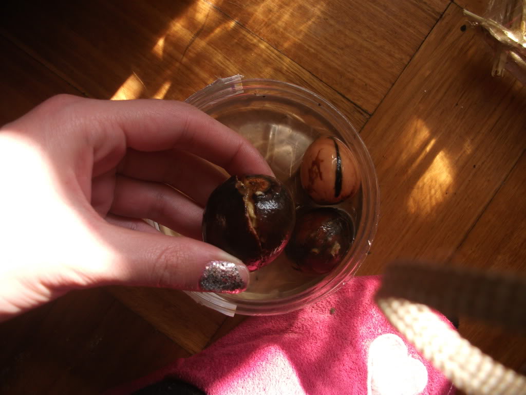 DSCF3615.jpg