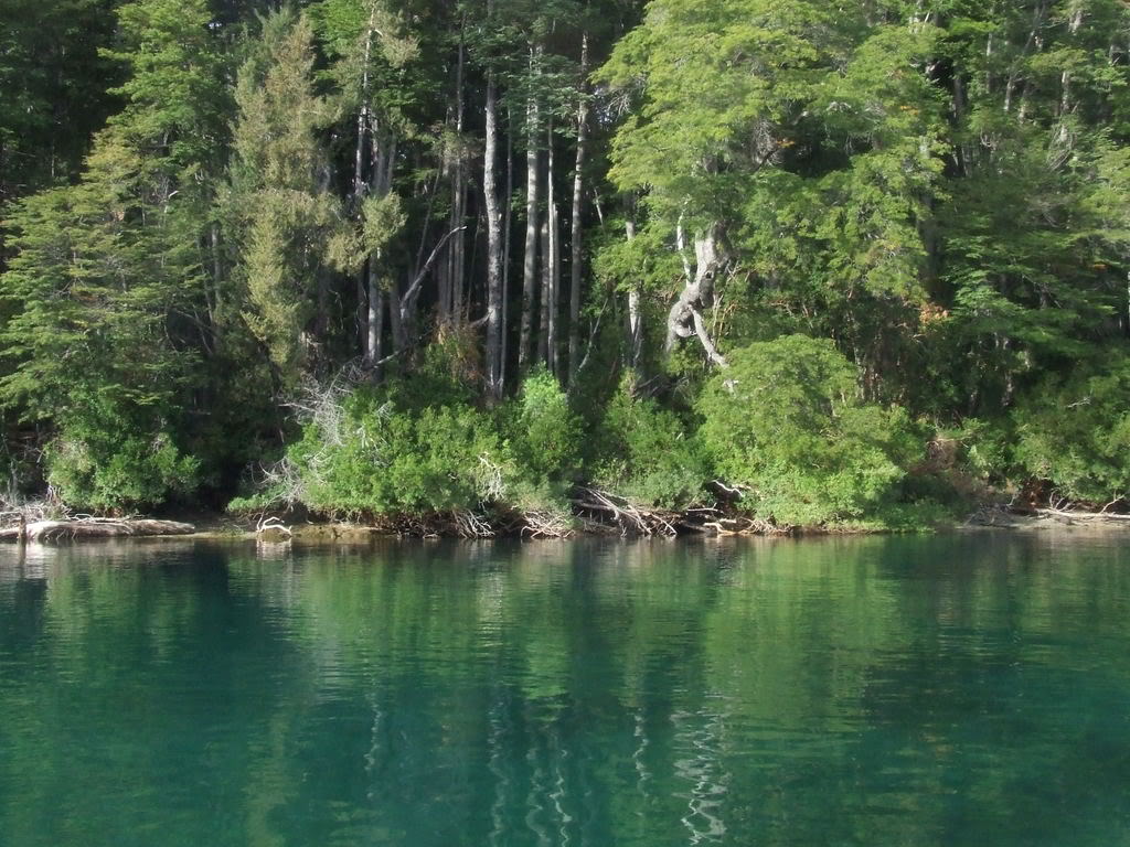 DSCF3631.jpg