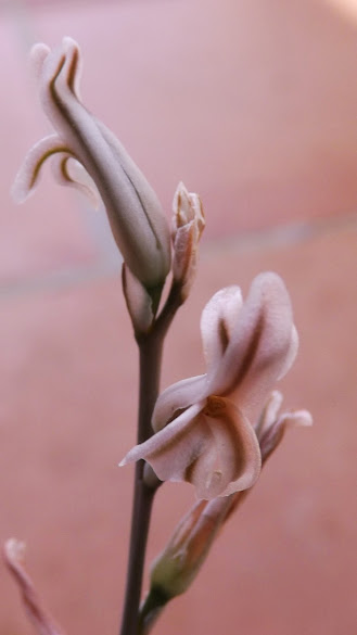 DSCF3673.JPG