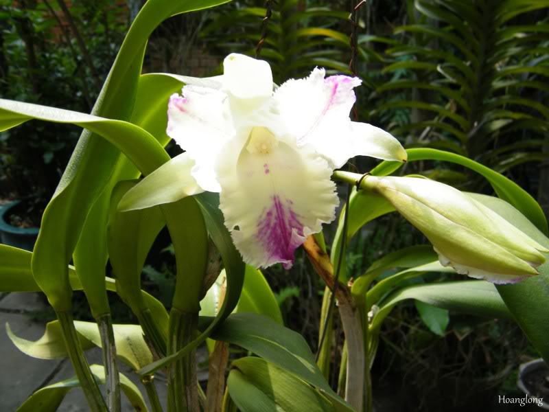 DSCF3748.jpg