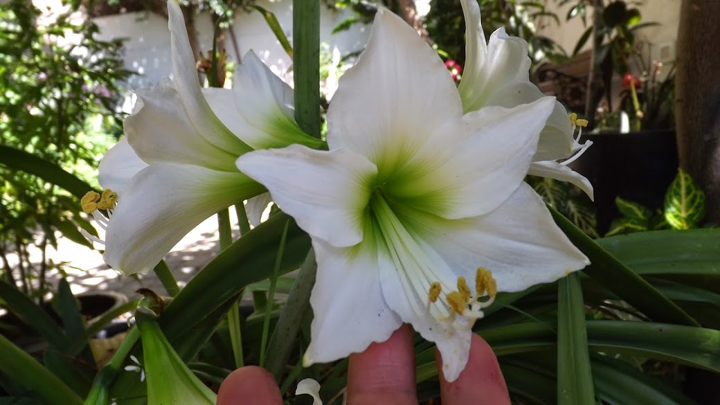 DSCF3759.JPG