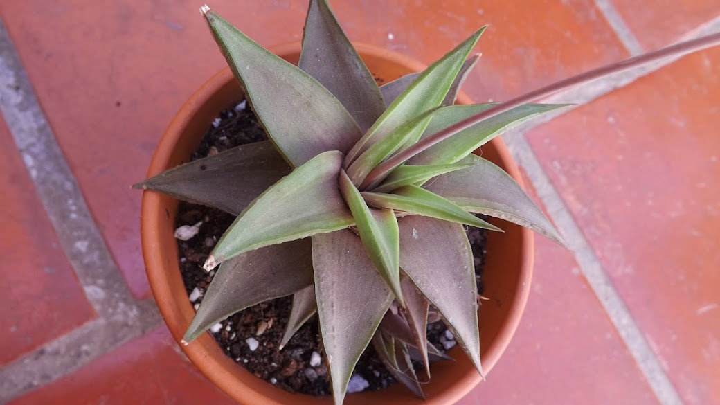 DSCF3767.JPG