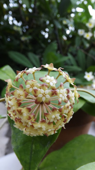 DSCF3793.JPG