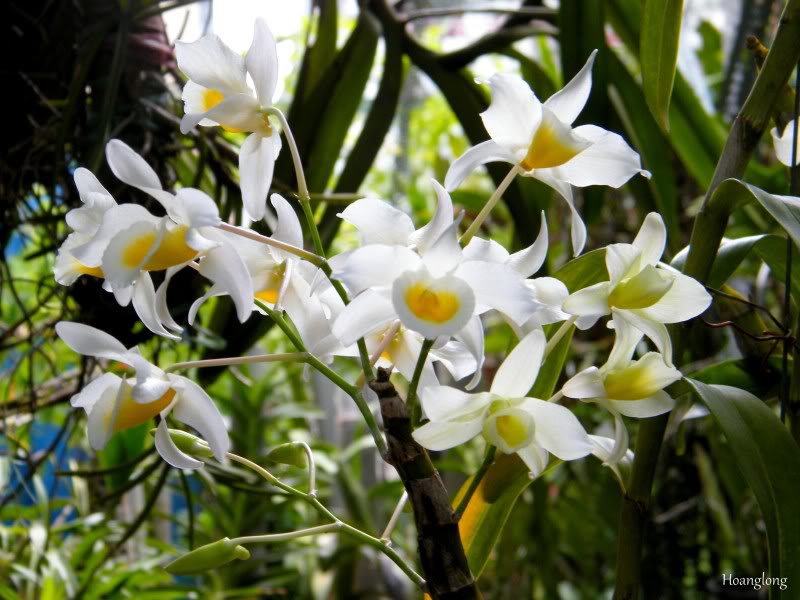 DSCF3854.jpg