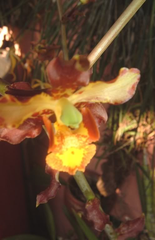 DSCF3949.jpg