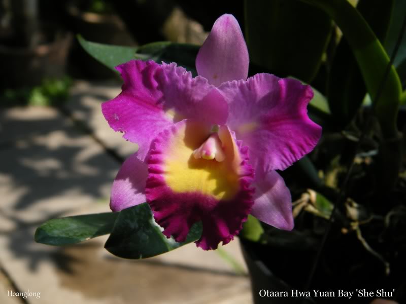 DSCF3953.jpg
