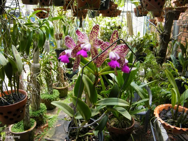 DSCF3975.jpg
