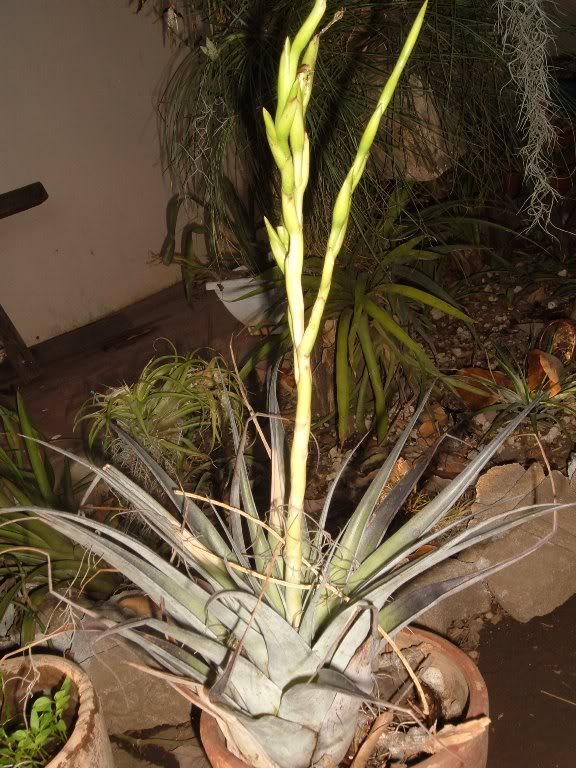 DSCF3978.jpg