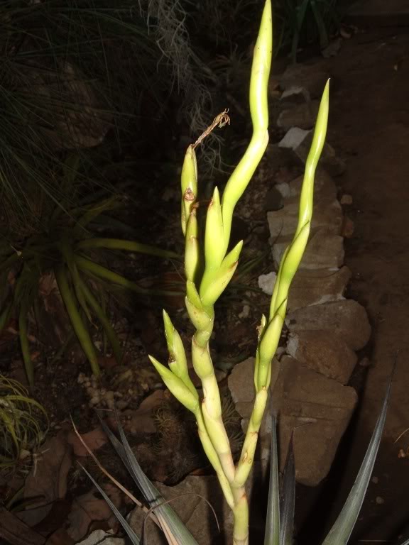 DSCF3979.jpg