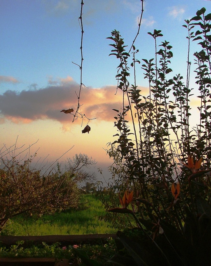 DSCF3992.JPG