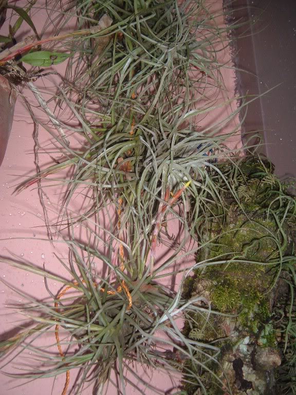 DSCF3998.jpg