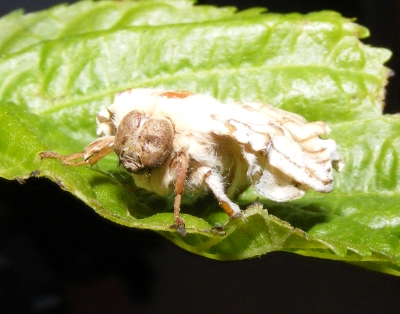 DSCF4092.jpe