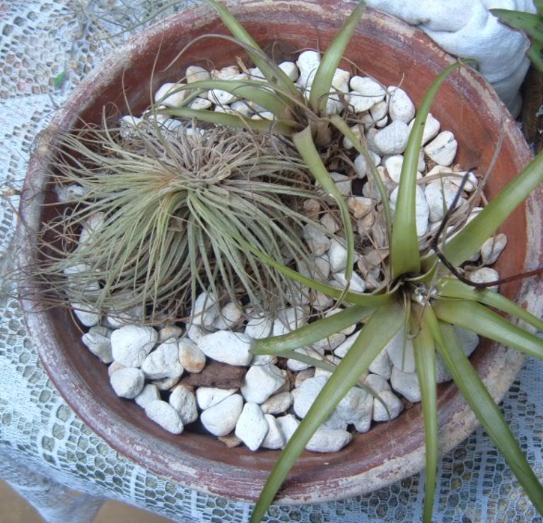 DSCF4095.jpg