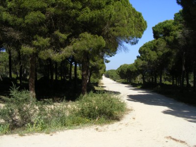DSCF4107.jpg