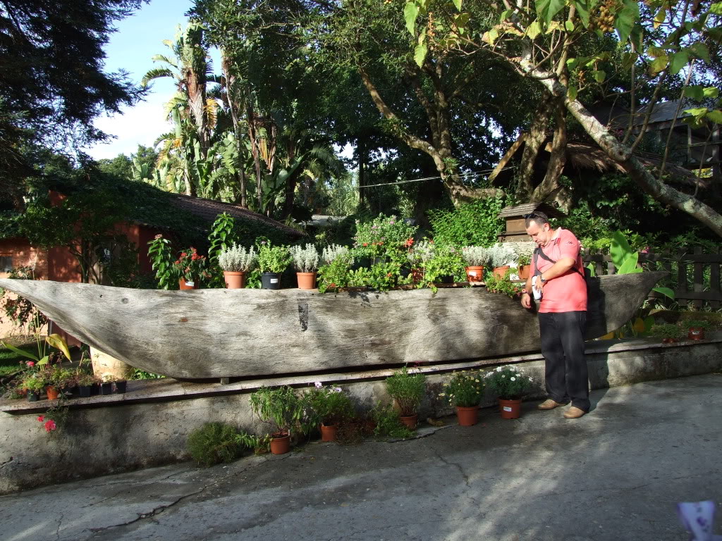 DSCF4146.jpg