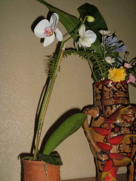 DSCF4172.jpg