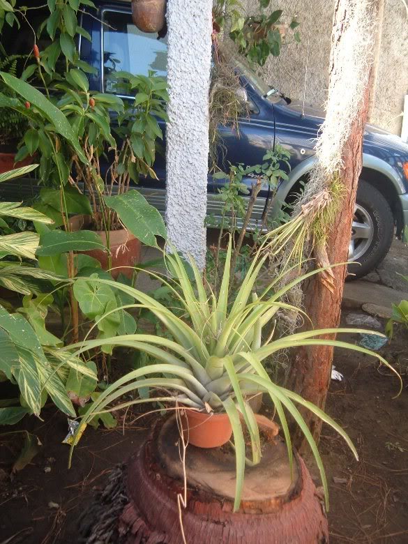 DSCF4180.jpg