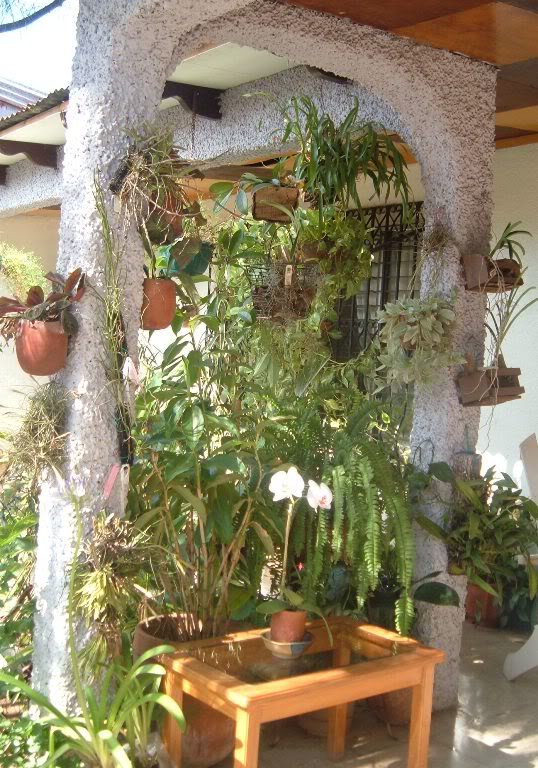 DSCF4270.jpg