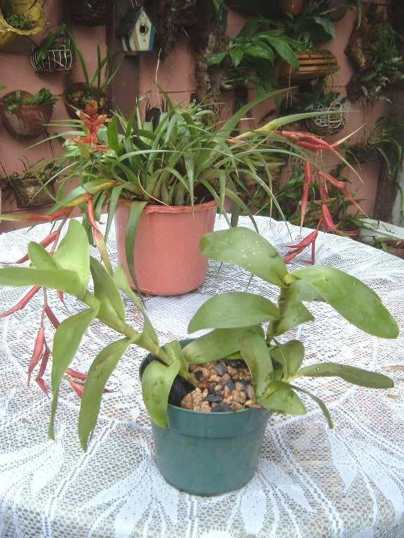 DSCF4360.jpg