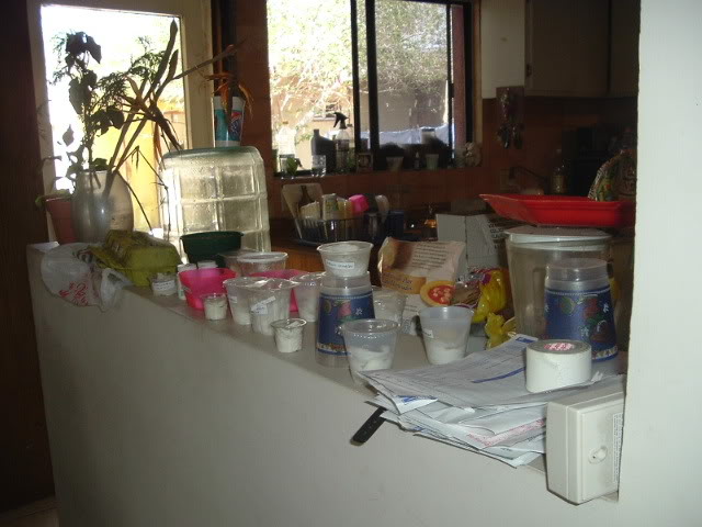 DSCF4422.jpg