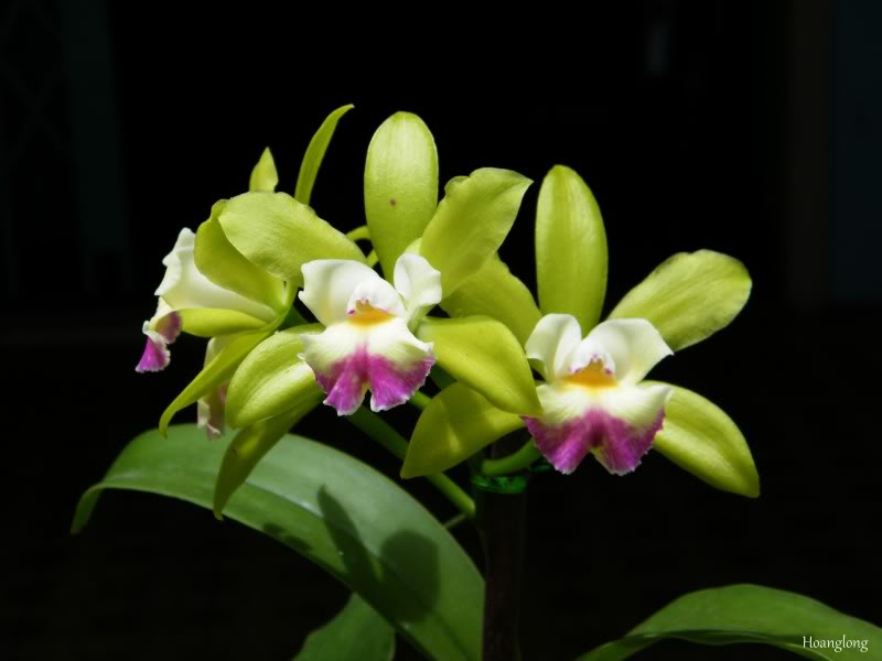 DSCF4430.jpg