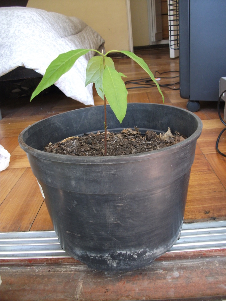 DSCF4514.jpg