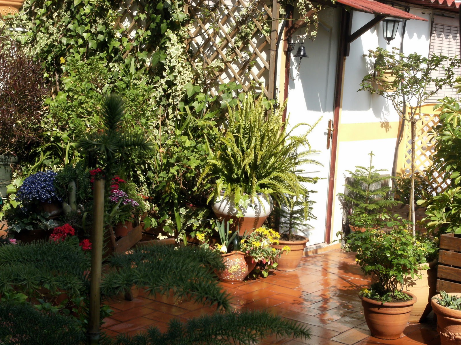 DSCF4628.JPG