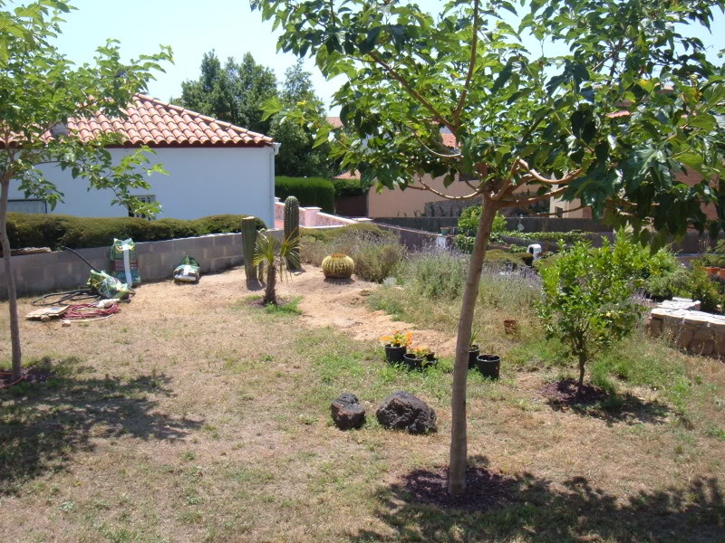 DSCF4696.jpg