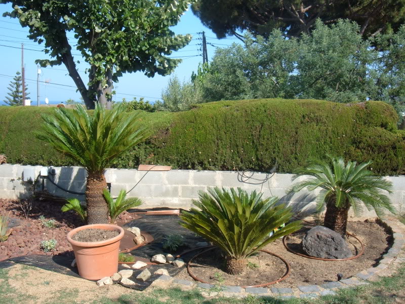 DSCF4737.jpg