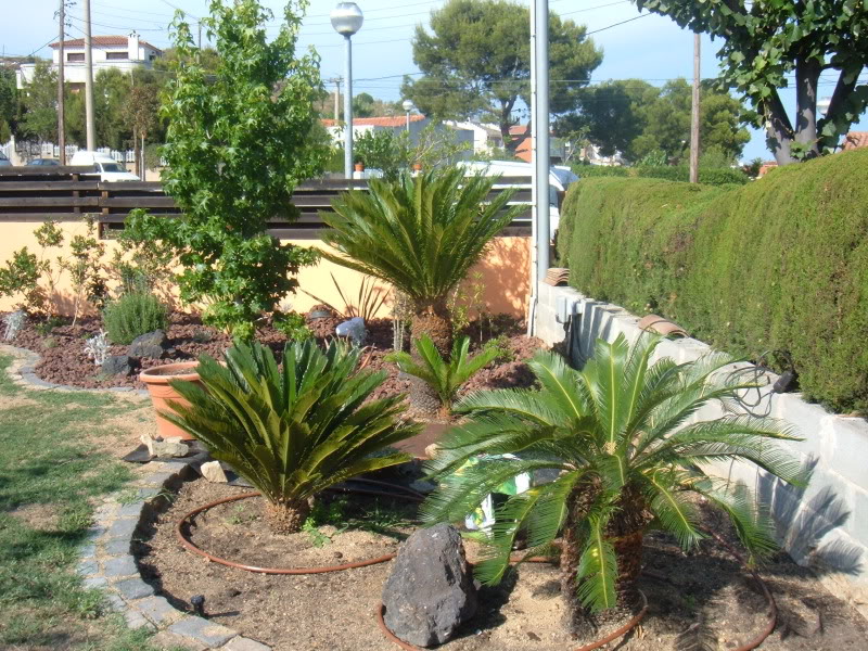 DSCF4739.jpg