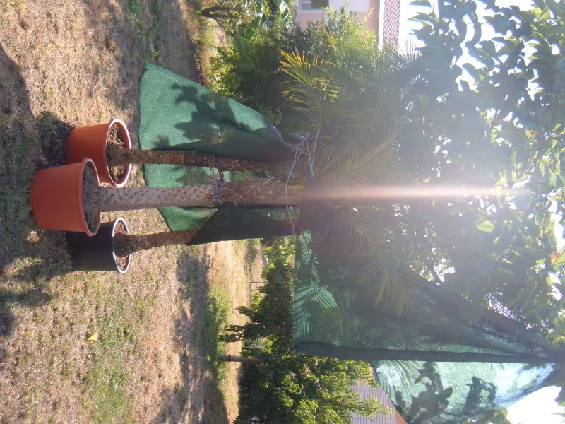 DSCF4743.jpg