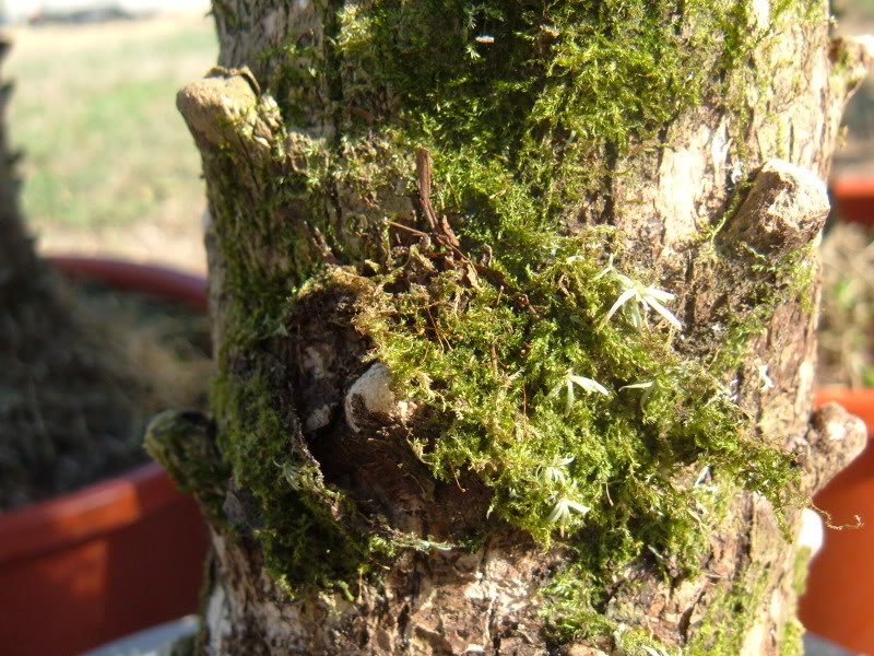 DSCF4745.jpg