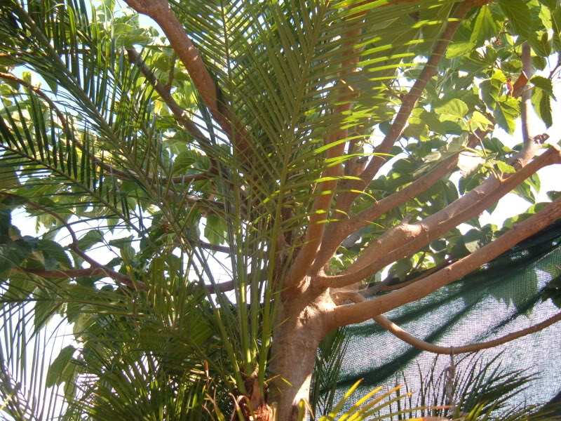 DSCF4748.jpg