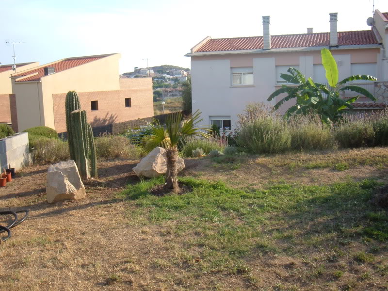 DSCF4753.jpg