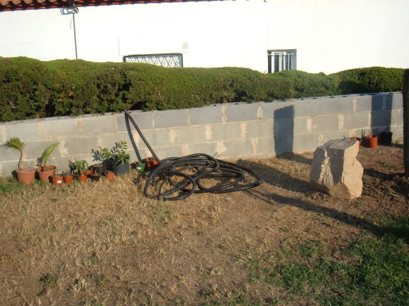 DSCF4755.jpg