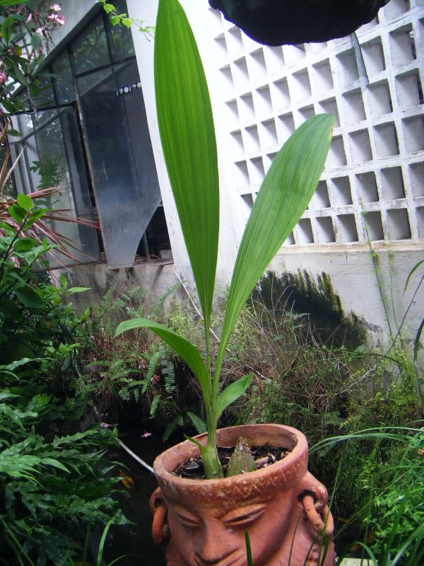 DSCF4763.jpg