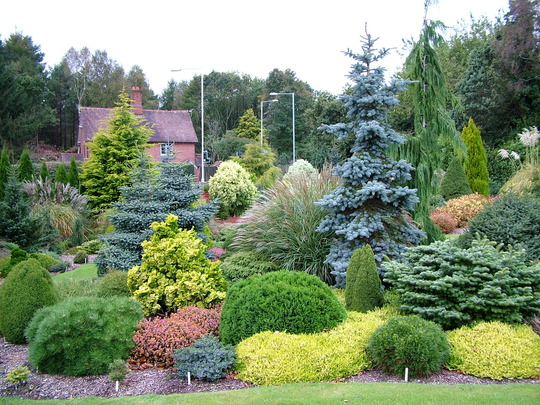 DSCF4898.jpg
