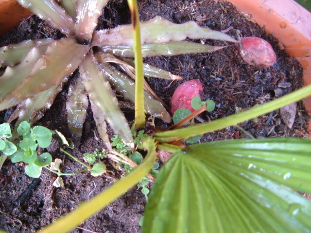 DSCF4924.jpg