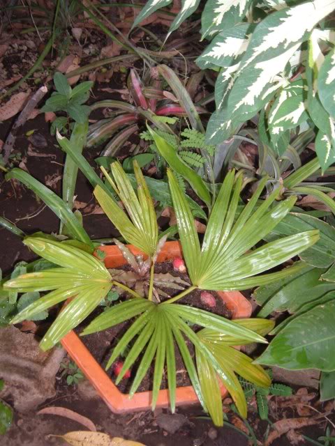 DSCF4925.jpg
