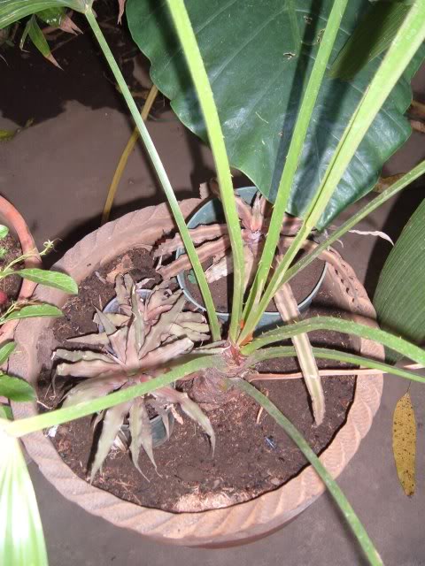 DSCF4928.jpg