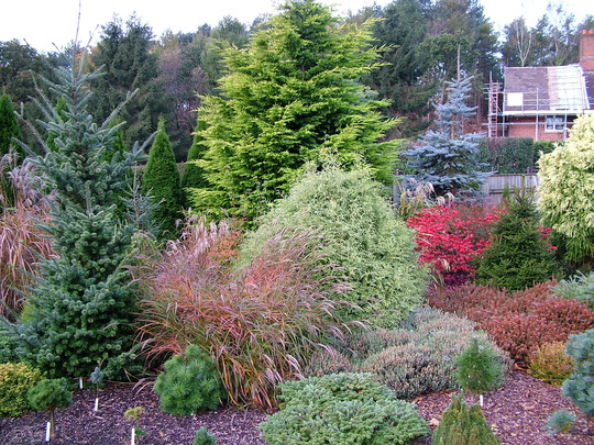 DSCF5021.jpg